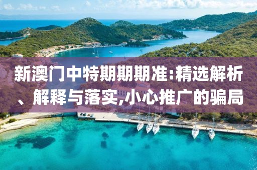 新澳门中特期期期准:精选解析、解释与落实,小心推广的骗局